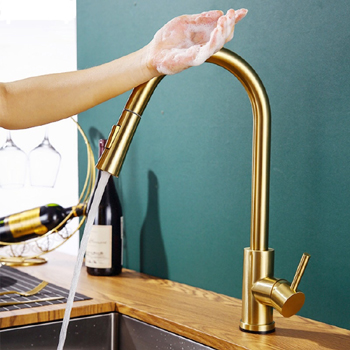 Flow Motion Sensor Kitchen Faucet Reviews
